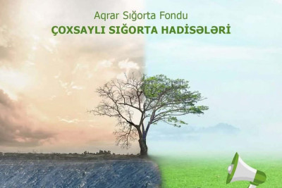 Leysanın ziyan vurduğu fermerlərə MÜJDƏ