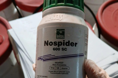 Xaçmazda anbar və satış mağazasında nöqsanlar aşkarlandı