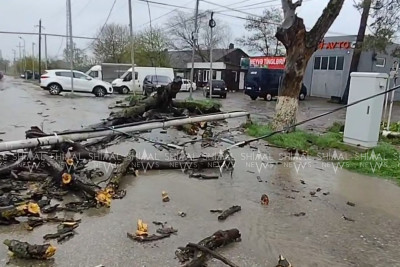 Qubada yük avtomobilinin üzərinə ağac aşdı - VİDEO