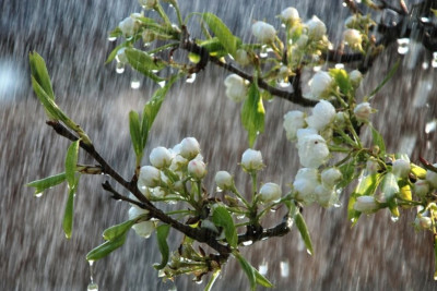 Yağıntılı hava davam edir, Şahdağa qar yağır