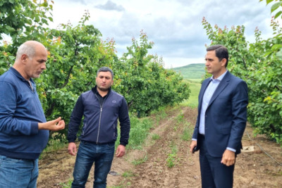 Şabranlı və qubalı fermerlərlə sığorta ödənişləri müzakirə olundu