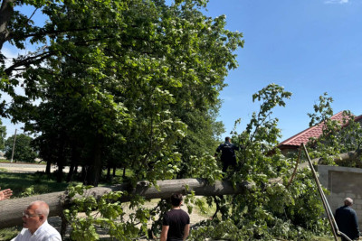 Xaçmazda güclü külək ağacı yaşayış evinin üstünə aşırıb