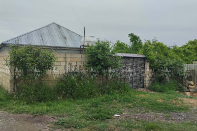 Xaçmaz sakini cinsiyyət orqanından bıçaqlanıb - DETALLAR