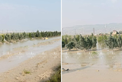 Quba-Bakı yolunun kənarındakı ağaclar SU ALTINDADIR - VİDEO