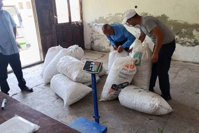 Balakəndə yaş barama tədarükünə başlanılıb