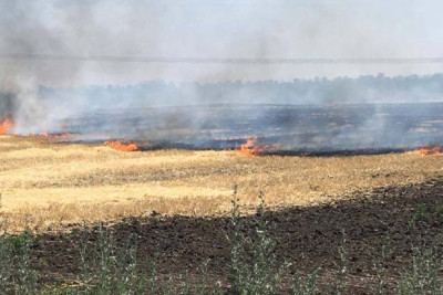 İsmayıllıda yanğın qeydə alınıb