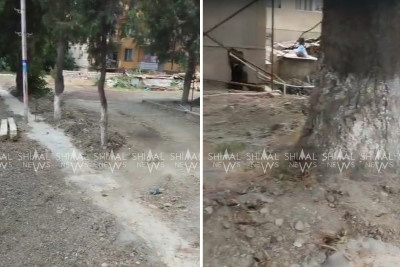 Xaçmazda ağacların dibi betonlanıb - VİDEO