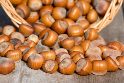 Azərbaycandan Çinə fındıq ixracı üçün tədbirlər görülür