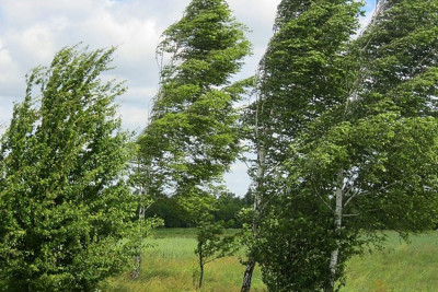 Hava şəraiti ilə bağlı sarı xəbərdarlıq