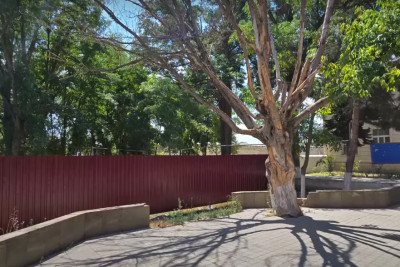 Xaçmazda tarixi bağ satılaraq HASARLANIB