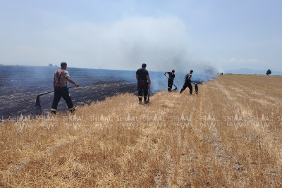 Xaçmazda güclü yanğın - VİDEO