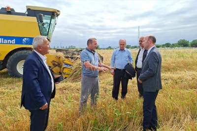 Qusarda taxıl biçini davam edir - FOTO