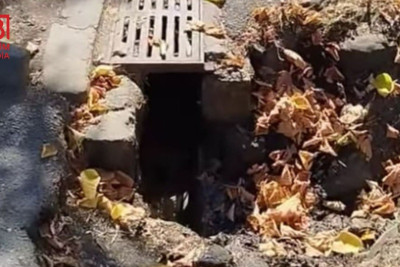 Zaqatalada ayaq altına diqqət olunmalıdır - FOTO