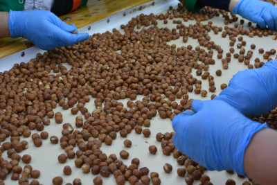 Fındıq istehsalçıları ilə görüş keçirilib