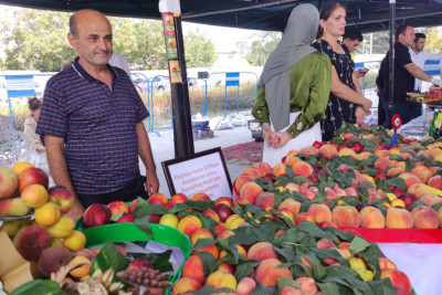 Xaçmazda ilk “Şaftalı” festivalı keçirilib