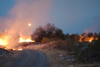 Qəbələdə yanğın törədən şəxs saxlanıldı - FOTO