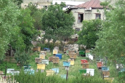 Qubanın unudulan kəndi - Yol da, məktəb də yoxdur