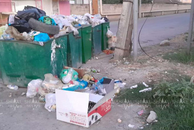 Xaçmazın dolub daşan, xəstəlik yayan ZİBİL QUTULARI