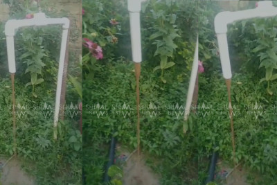 Şabranda lilli, palçıqlı “içməli su”