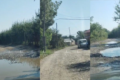 Qubada 1300 nəfərin ortaq dərdi