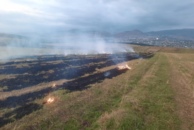 Şamaxıda yanğın törədən şəxs məsuliyyətə cəlb olunub