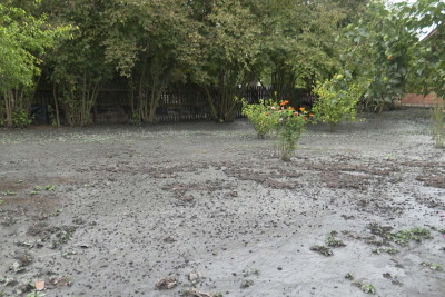 Zaqatalada sel təsərrüfatlara ziyan vurub