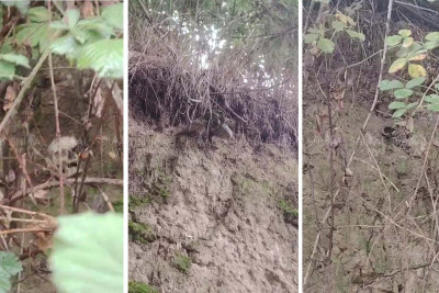 Qubada insan sümükləri tapılıb - VİDEO