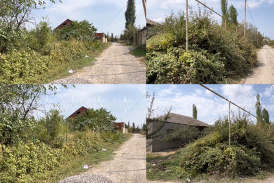 Vəlvələdə yol kənarları zibilliyə və ilan yuvasına çevrilib