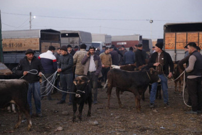 Bu gündən heyvan bazarları bağlanır