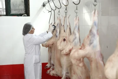 Heyvan bazarlarında dəyişiklik OLACAQ: BU TARİXDƏN