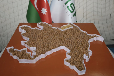 Qusarda Aqrar Festival və Toxum Yarmarkası keçirilib