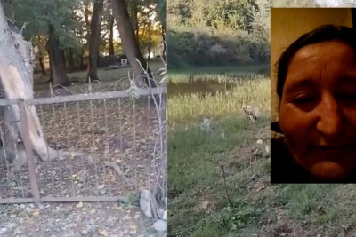 İsmayıllıdan olan Qərənfil adlı qadının iddiaları ilə bağlı rəsmi AÇIQLAMA