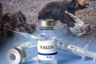 Rayonlarda quduzluğa qarşı vaksin ehtiyatı varmı?