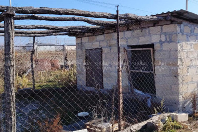 Şəki sakininə verilən qoyunlar xəstə imiş - VİDEO