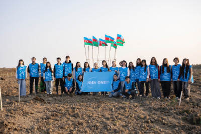 IDEA Xaçmaz və Şabranda növbəti ağacəkmə aksiyaları təşkil edib