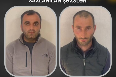 Mal-qara oğruları saxlanıldı
