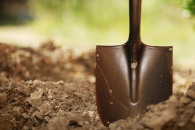 Ər onu bellə döyən arvadını bağışladı