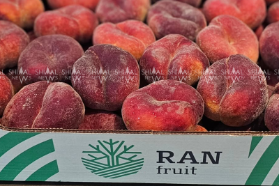 Qubada şirkət 200-dən çox şəxsin maaşını vermir