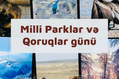 Sabah milli parklarda "Açıq qapı" günü keçiriləcək