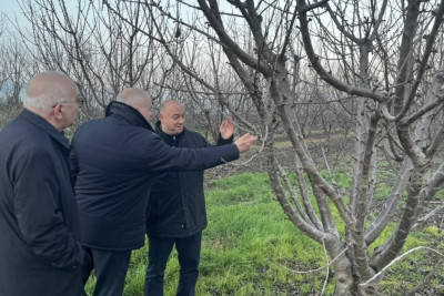 Azad Cəfərli Xaçmazda vətəndaşları qəbul edib - FOTO