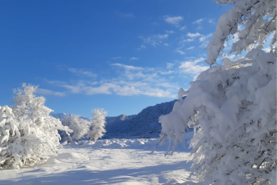 Sabah şimalın havası necə olacaq?