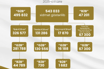 Sahibkarlar KOB evlərindən yararlanıblar - STATİSTİKA
