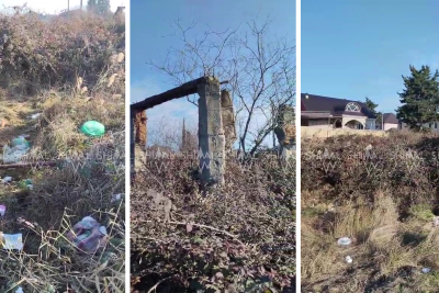 Xaçmazın mərkəzində "cəngəllik" - VİDEO