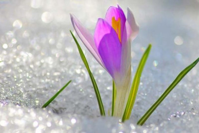 Qışın "oğlan çağı": Kiçik çillə başlayıb