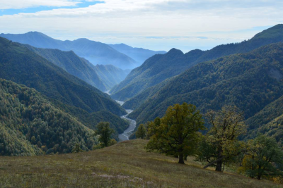 İlisu və Axar-Baxar milli parkları haqqında əsasnamələr təsdiqlənib
