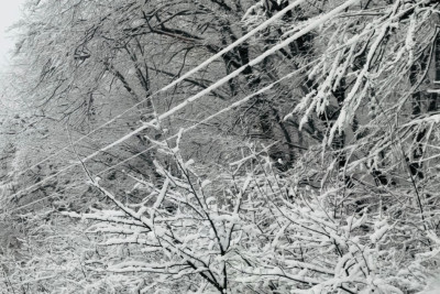 Qaxda qarın hündürlüyü 28 sm-ə çatdı