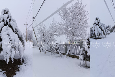 Şimala yağan qar fəsadlara yol açdı