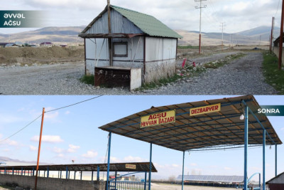 Ağsu və Masallı heyvan bazarları açılıb - VİDEO