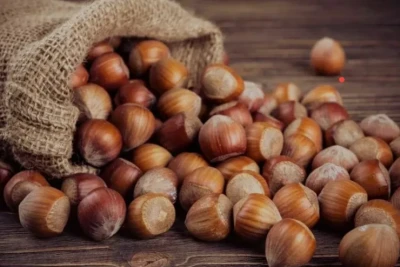 Qaxda fındıq bağları damcı-damcı suvarılır