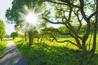 Apreldə Şimalın havası necə olacaq?